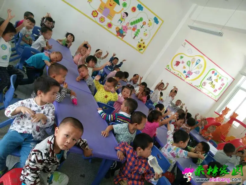 121429figlakbbu4rk5kvu.webp
