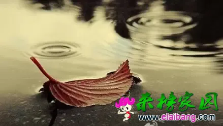 640.webp (1).webp