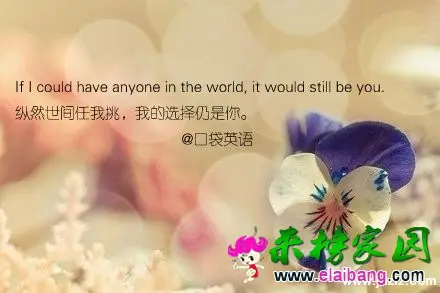 1_130523143915_1.webp