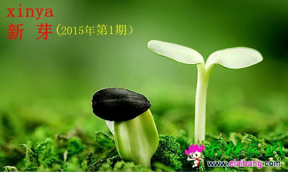 b734d7ad6c64.webp