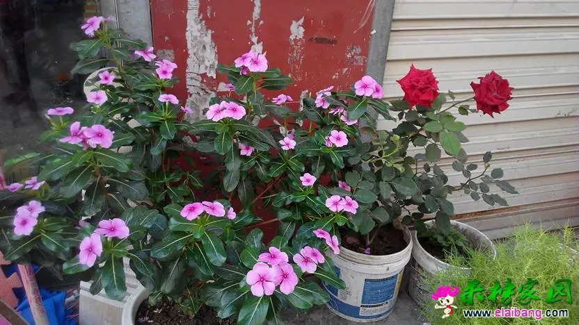 191154f777dfsykssvmdbf.webp