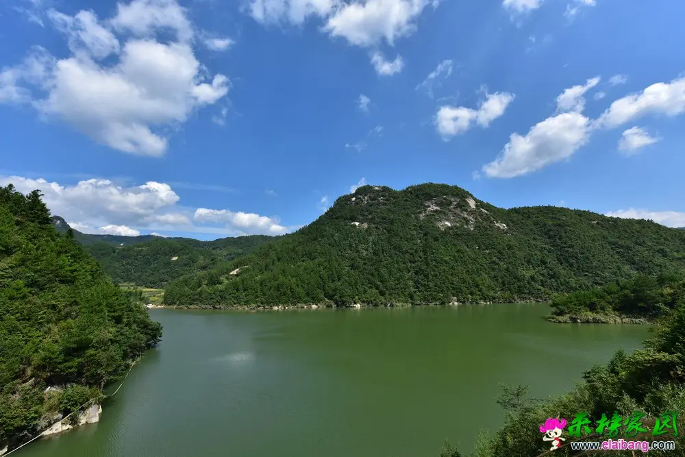 1 (6).webp