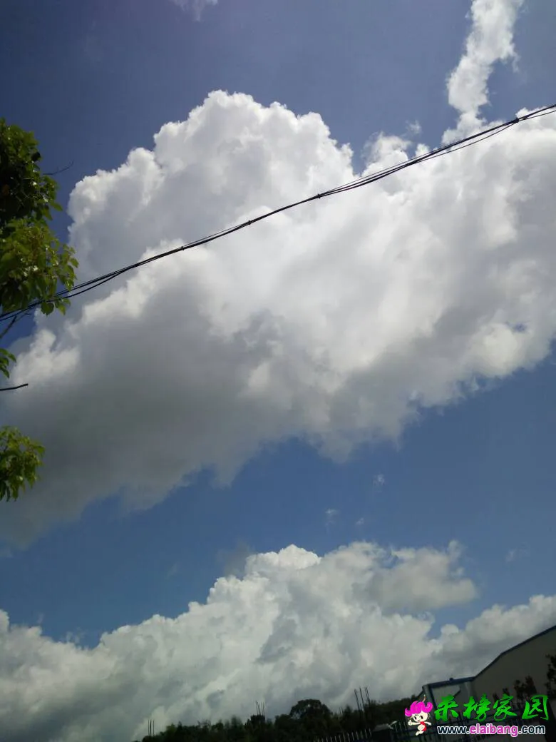 223413s1i8loklfnflzkqg.webp