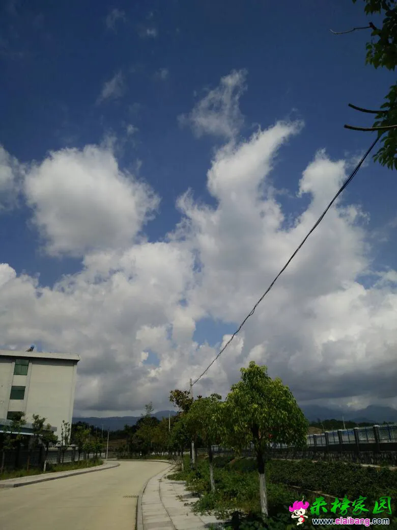 223414g3q7zv3stts797i7.webp