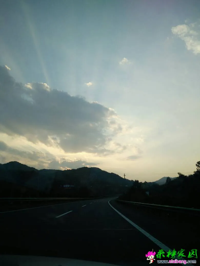 223415jss8gt06v66tdhfg.webp
