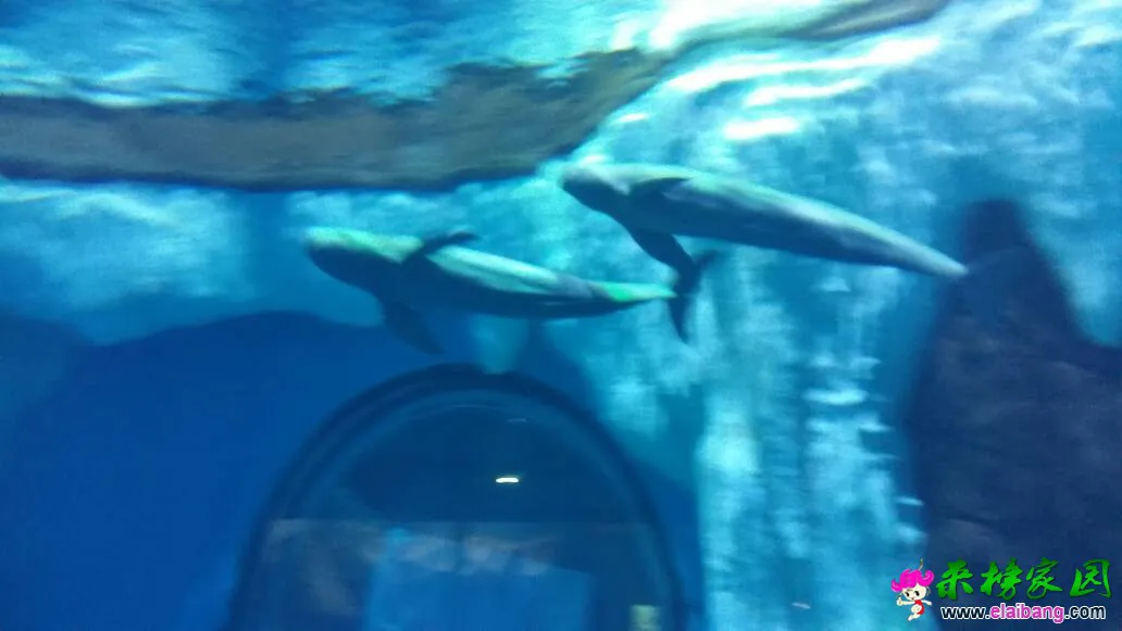 120607k1611ywd6r60zd0d.webp