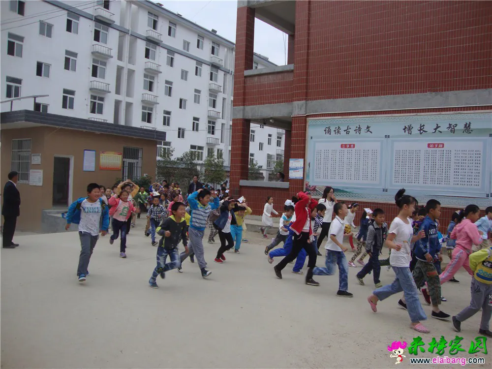 DSC05594.webp