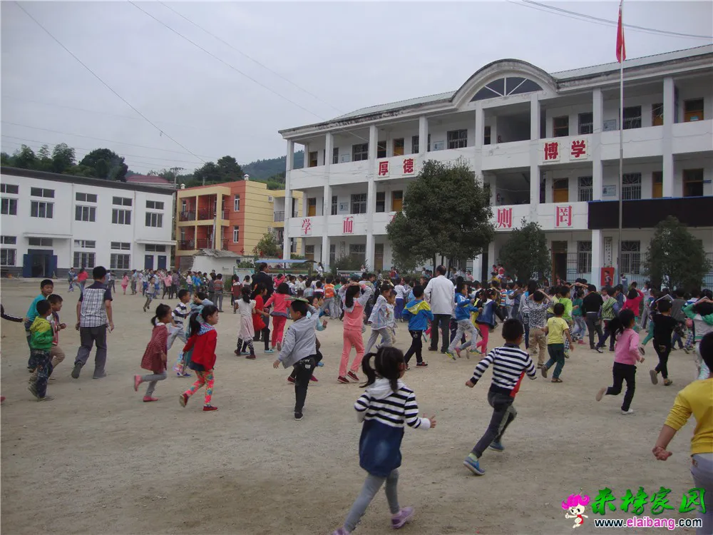 DSC05593.webp