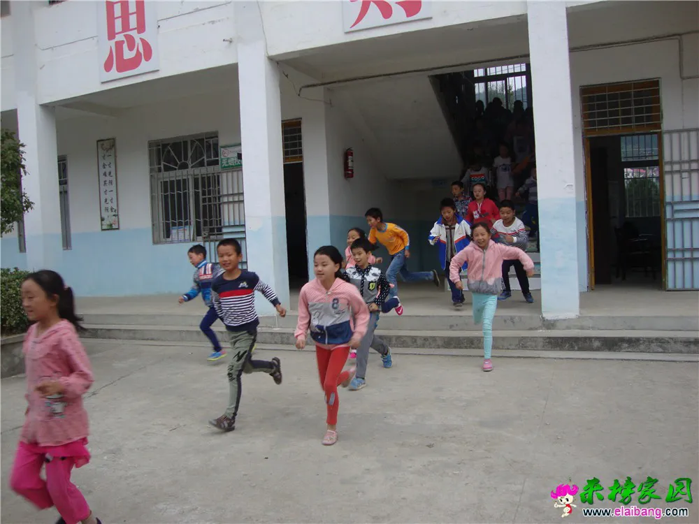 DSC05596.webp