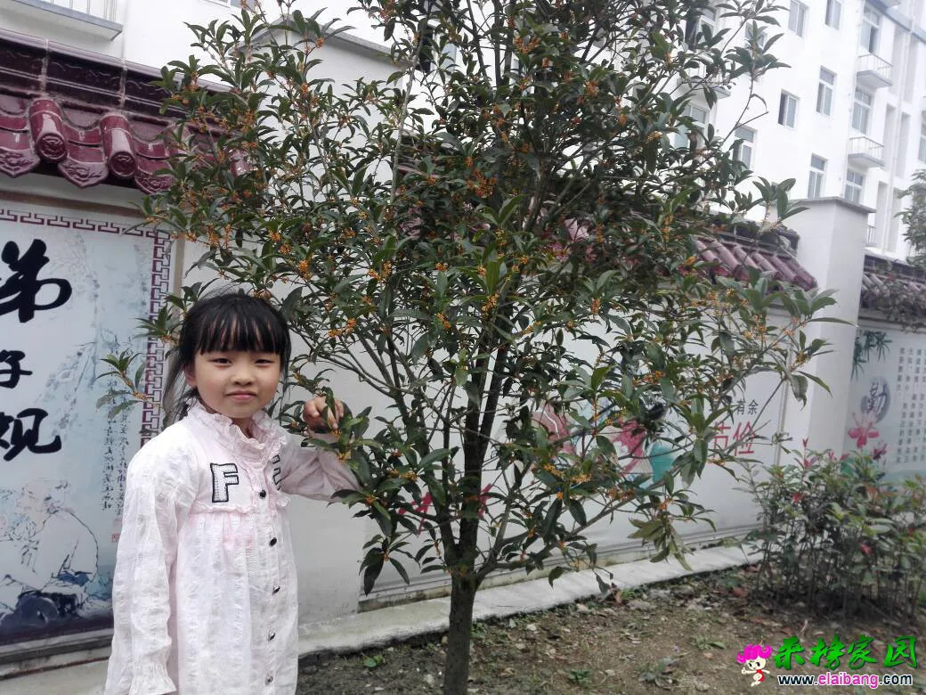 160714ui44i3bnikh394bg.webp