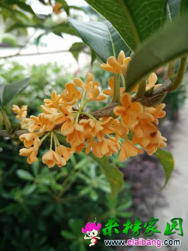 IMG20150922123942.webp