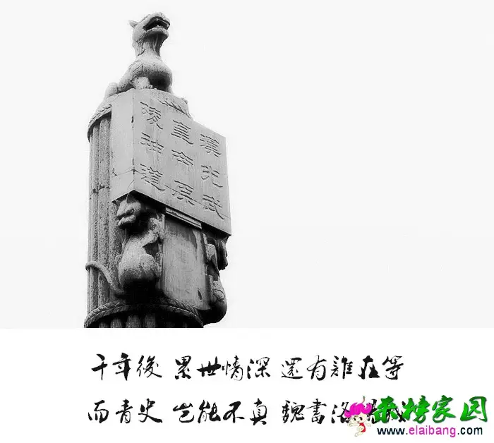 0.webp (10).webp