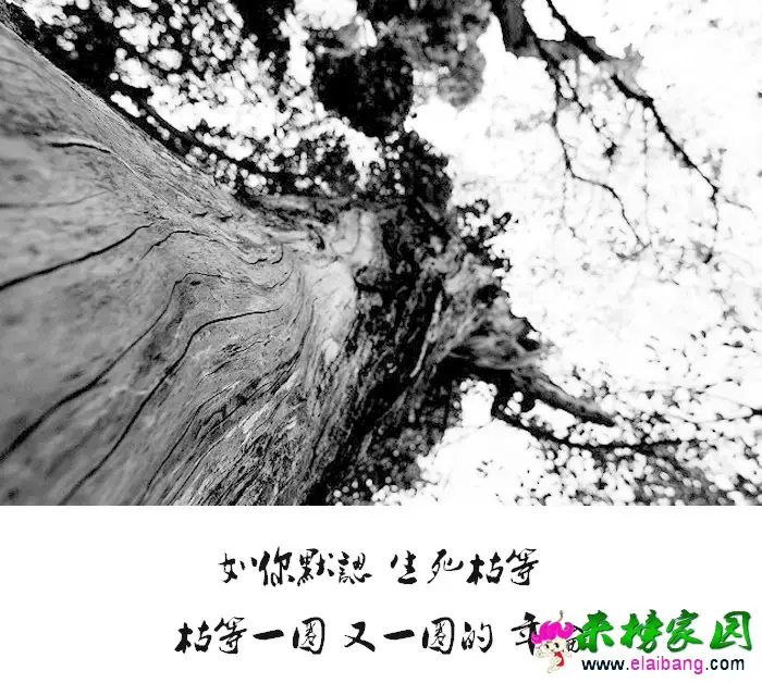 0.webp (1).webp