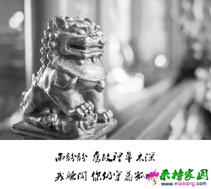 0.webp (6).webp