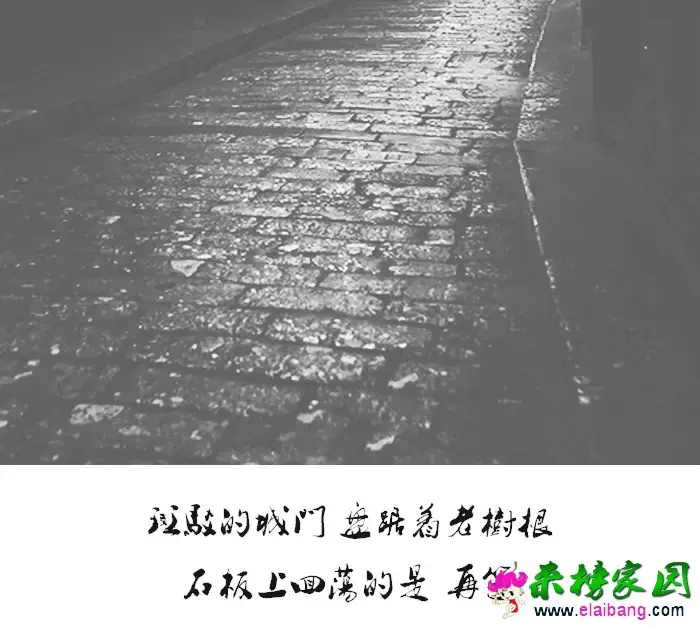 0.webp (5).webp