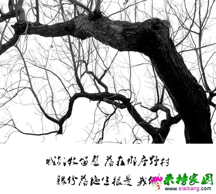 0.webp (7).webp