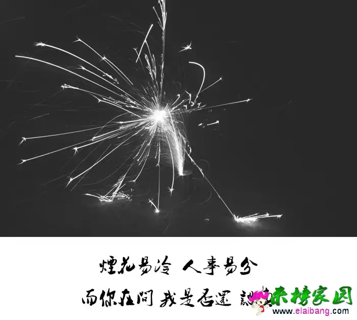 0.webp (9).webp