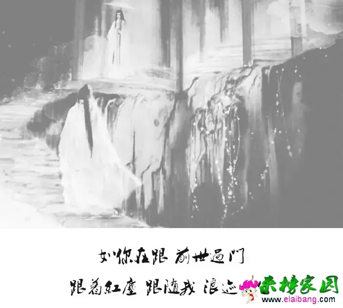 0.webp (11).webp