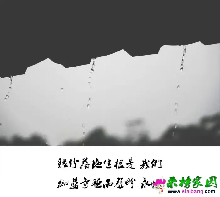 0.webp (12).webp