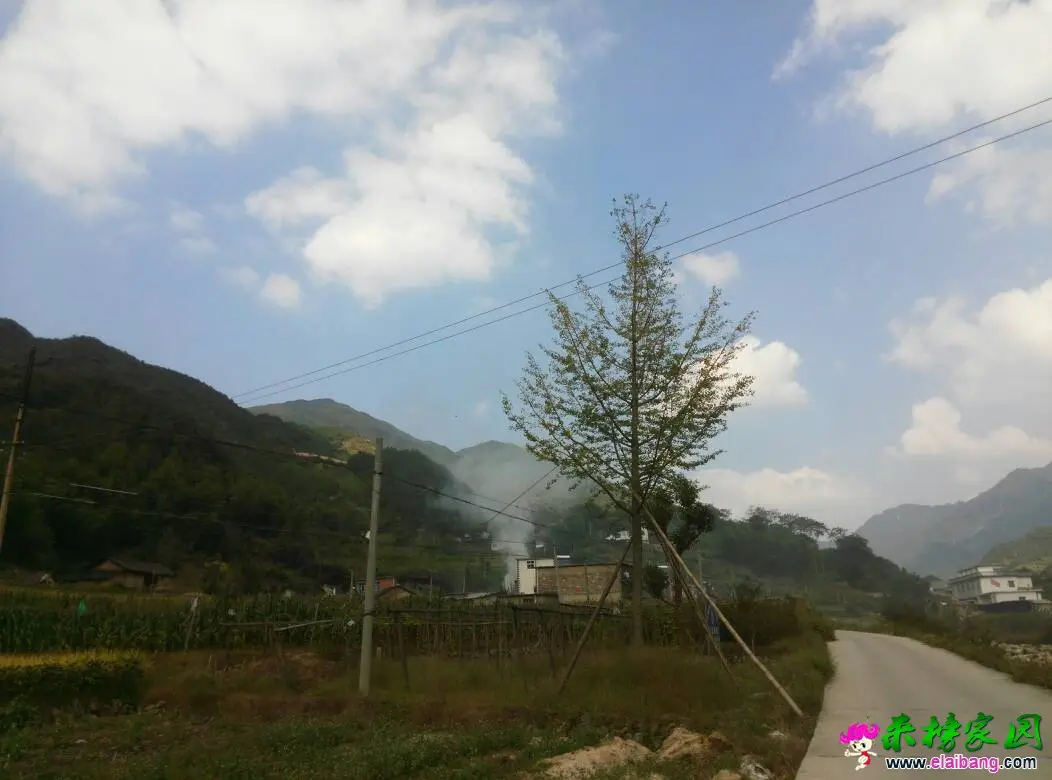 142208x66czw66lwqlp0k2.webp