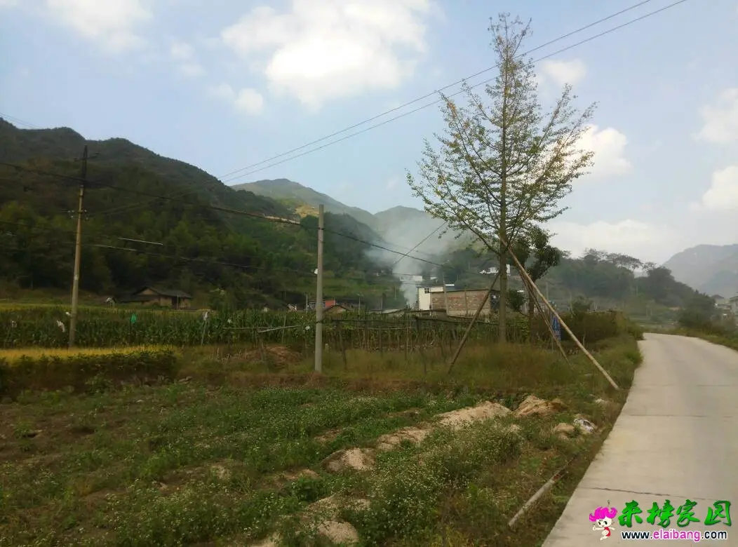 142209w5a4xix5g5a5i5w9.webp