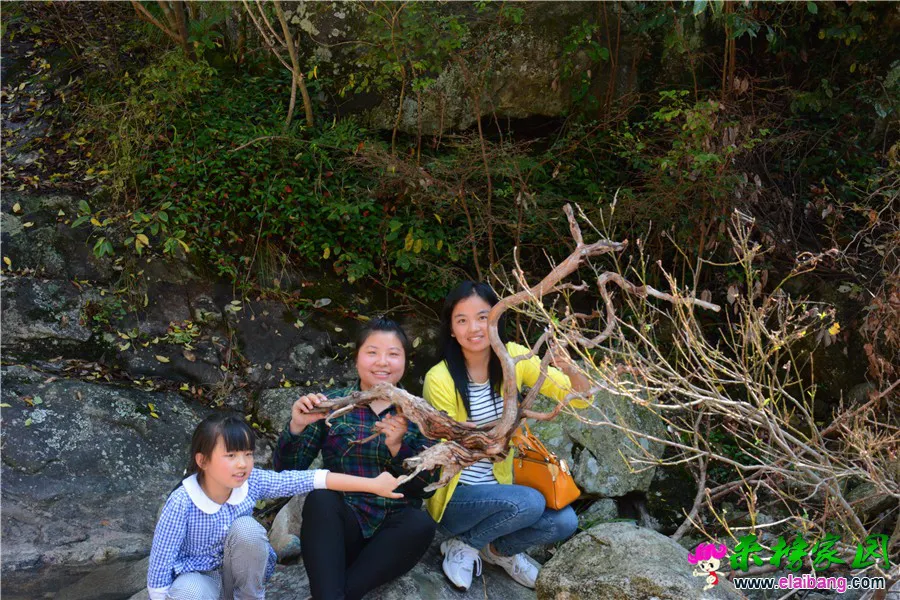 DSC_6438.webp