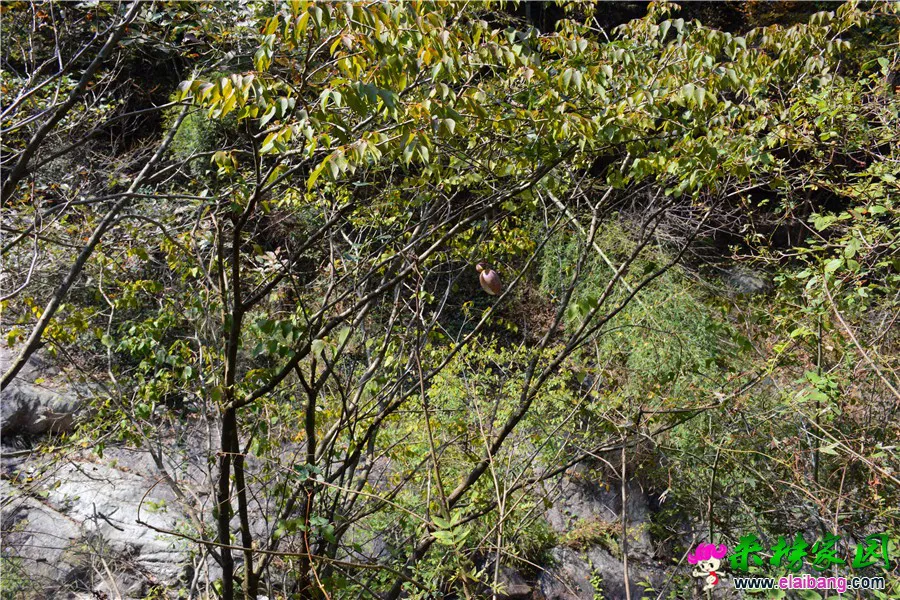 DSC_6478.webp