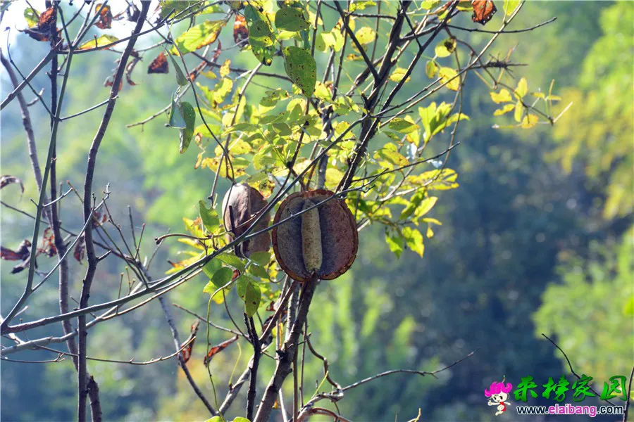 DSC_6433.webp
