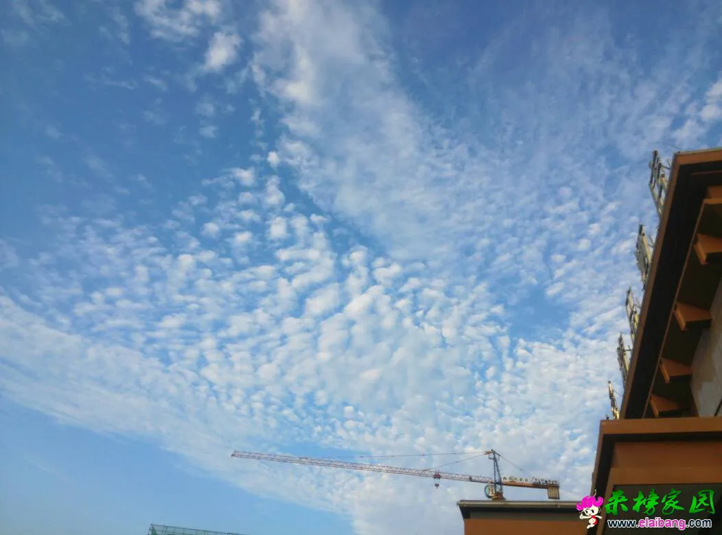212531wmlu4550ac5lm9g4.webp