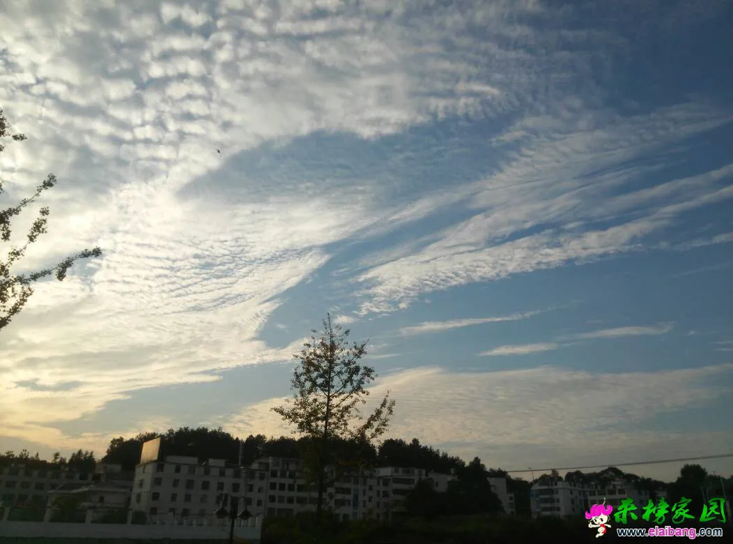 212532cczwfzvzejvppfcg.webp