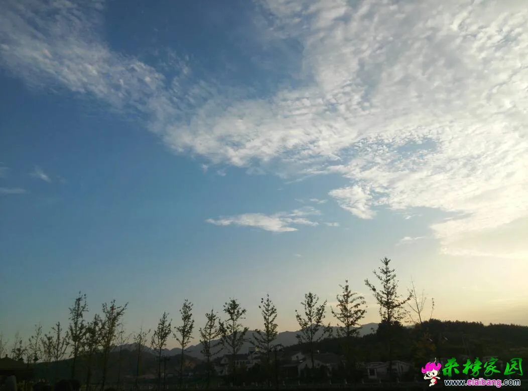 212532j01xgcygd1ppgg2x.webp