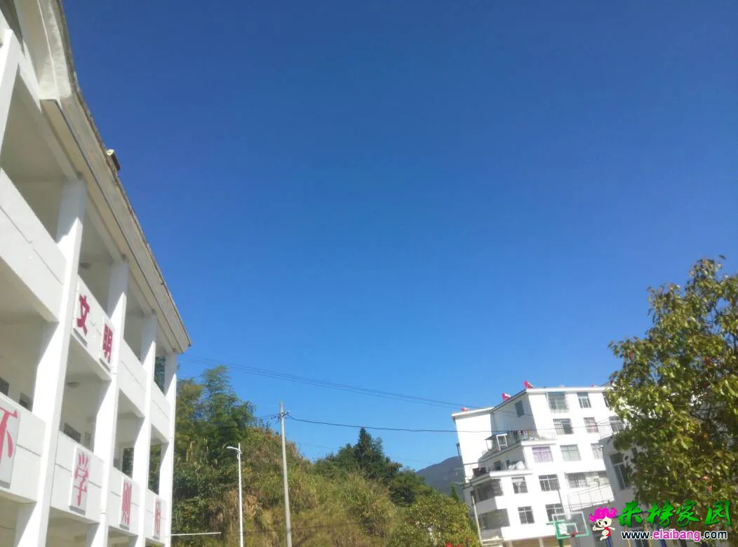 143640f6ddyia0vnvlu2xh.webp