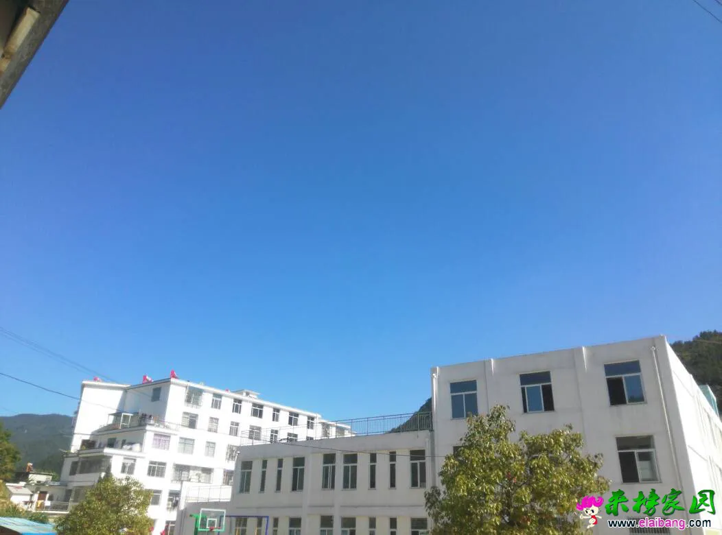 143641qh88gj80sg9xcgex.webp