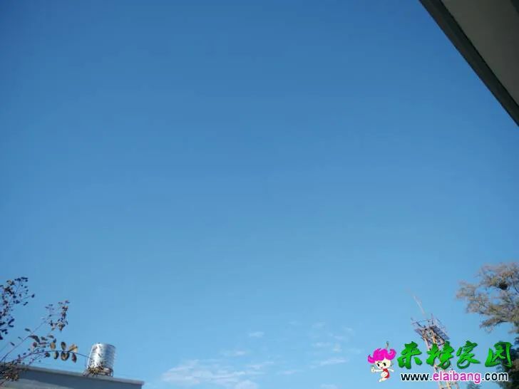 151058mgggvz0vigj60cti.webp