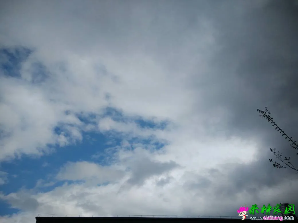 112624zzsouyxoyhxsmhuk.webp