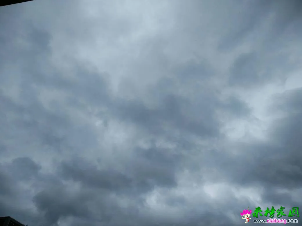 155856iui4uiq2uuda46ry.webp