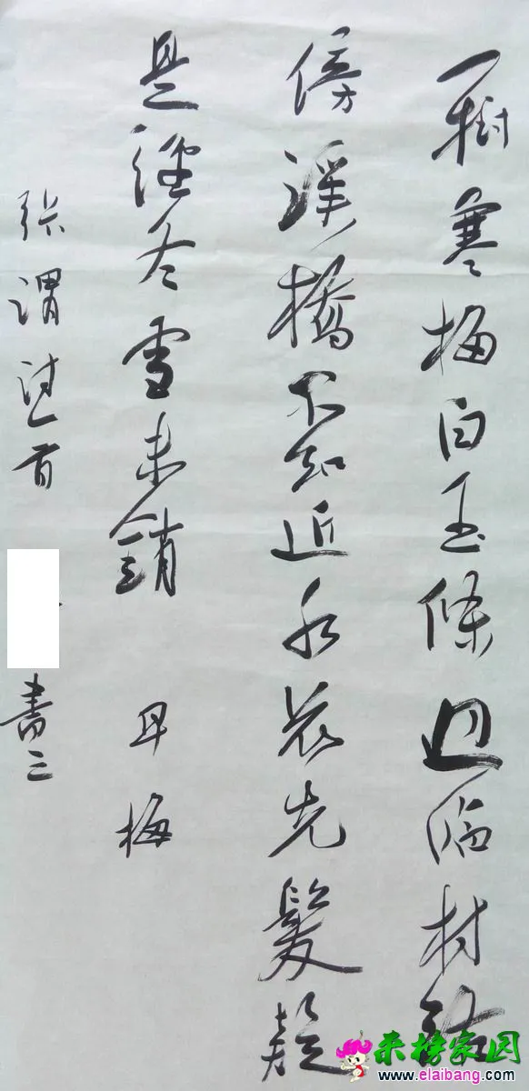 P50930-080002.webp