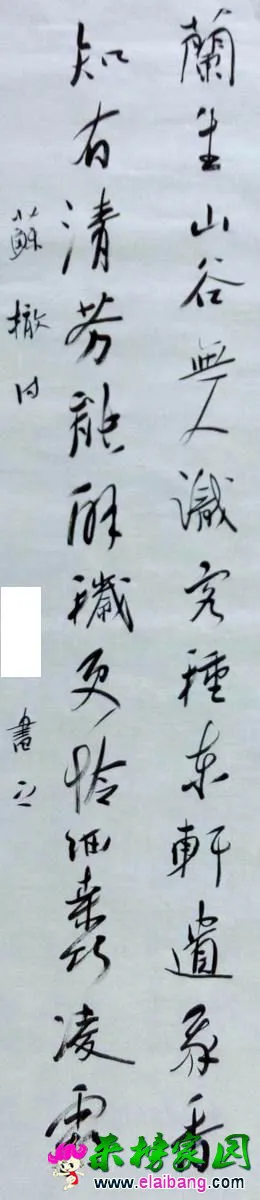 P50930-080214.webp