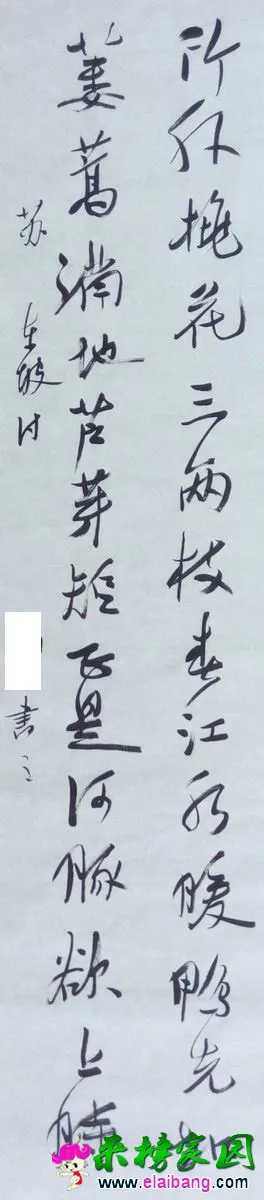 P50930-080405.webp