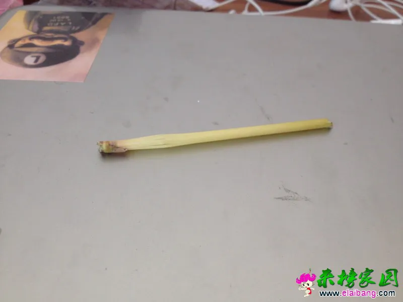 110446sm7020zi68i2r6zm.webp