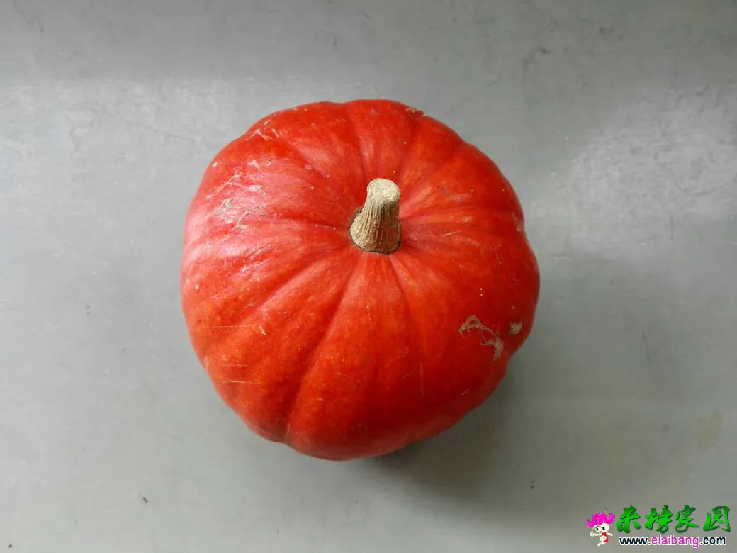 100414bjnhldslnwssnn34.webp