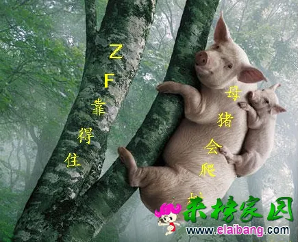 QQ图片20151005164259.webp