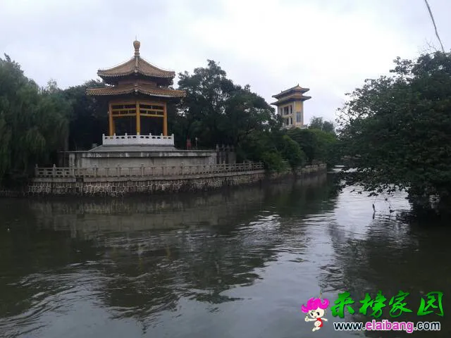 132029o5e6wwfna585ccy1.webp