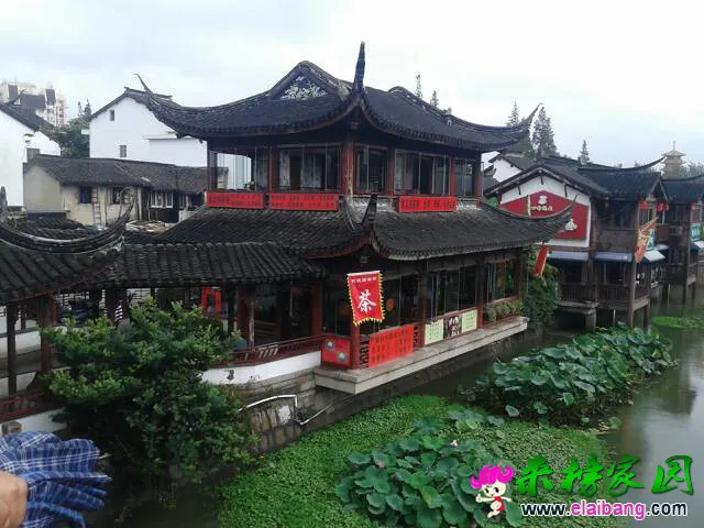 132029vmiy0xrsbr3s5xib.webp