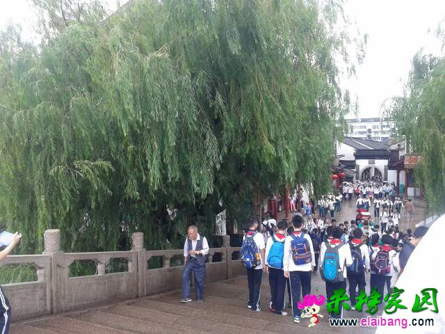 132029vmzo9cxr9v7fzroo.webp