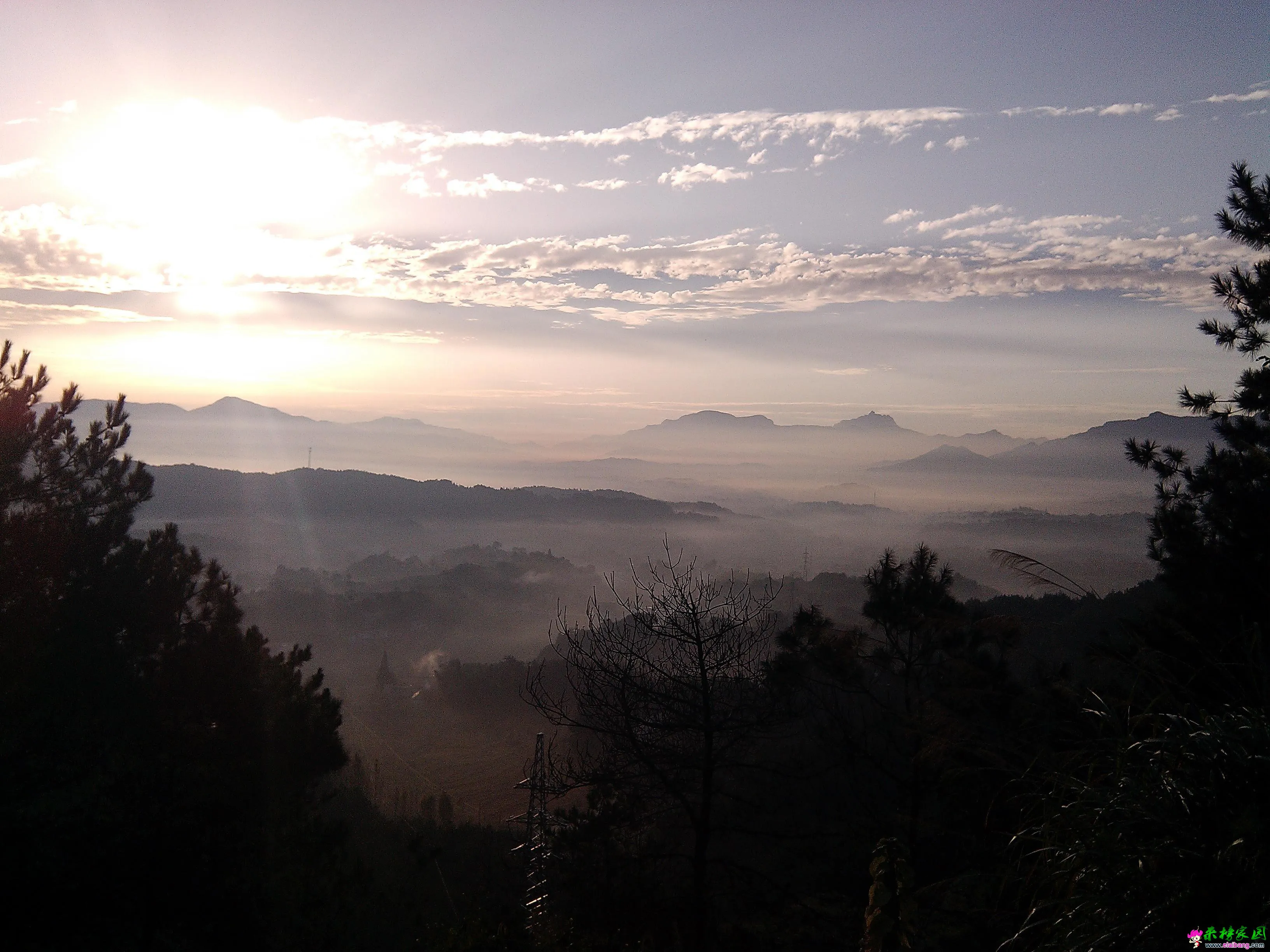 IMG_20131009_065828.webp