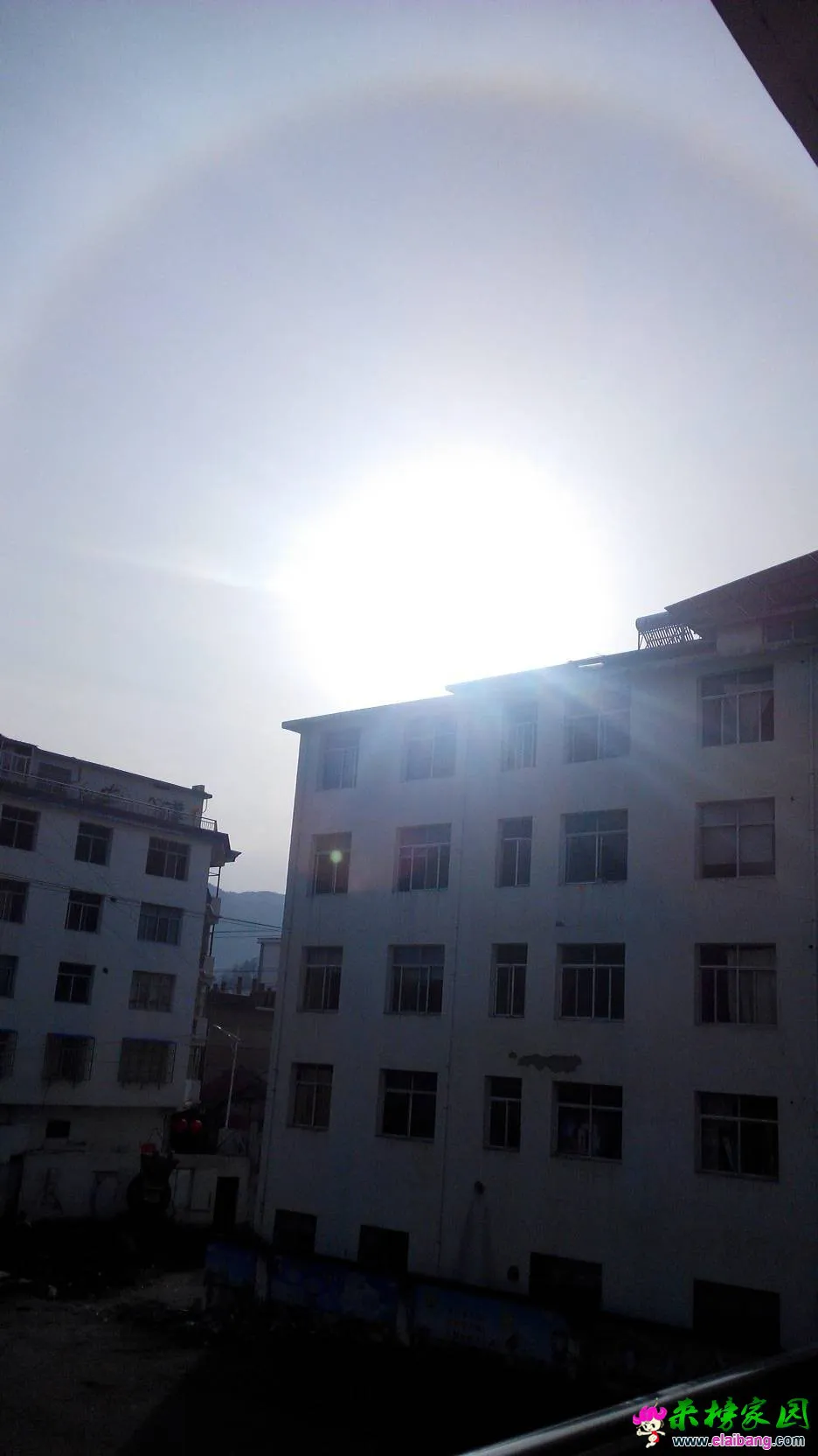 075726sfg71901pan1b7s1.webp