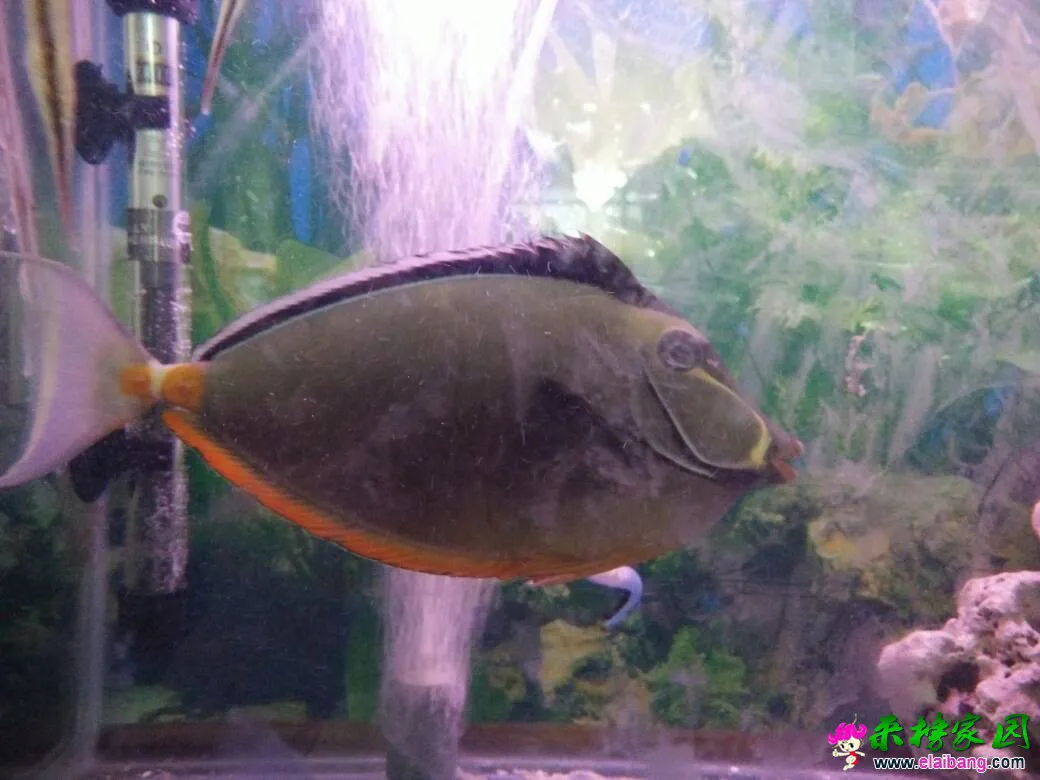 162153gjxv731ug7qcyu4u.webp
