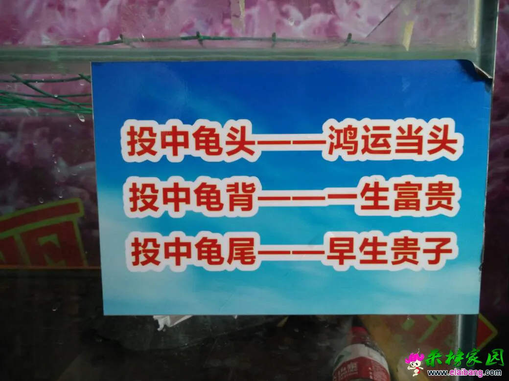 162155d62y2ymbmpcb8lb7.webp
