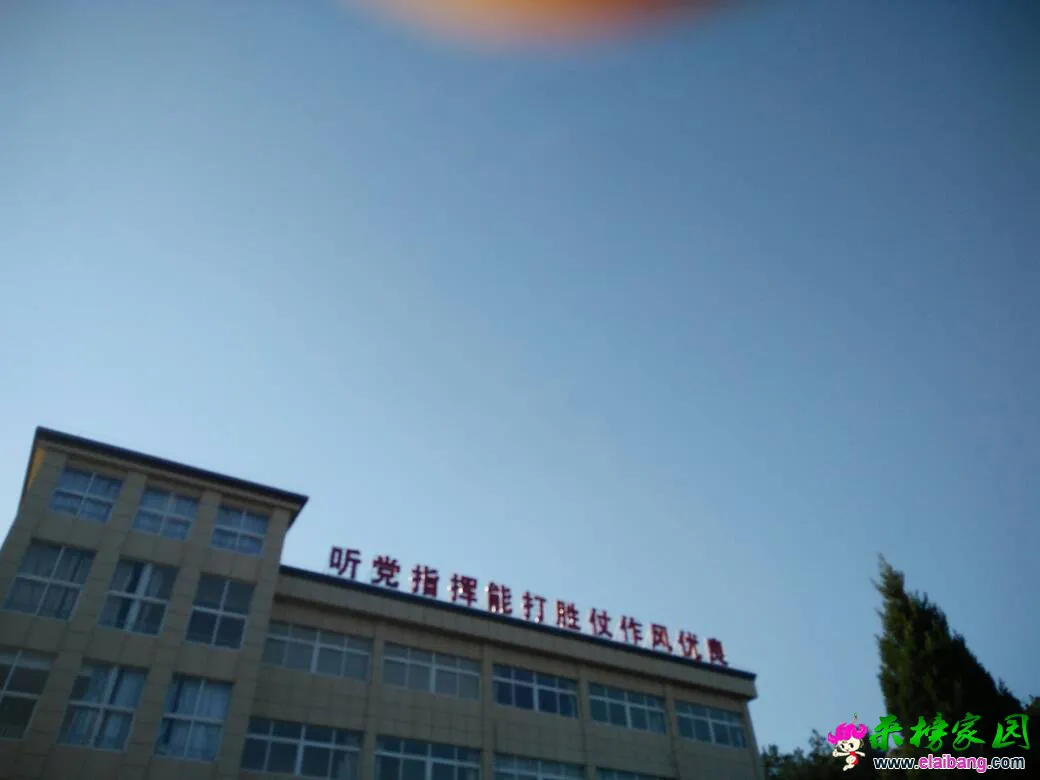 170803a883ru2ukk8kkkrk.webp